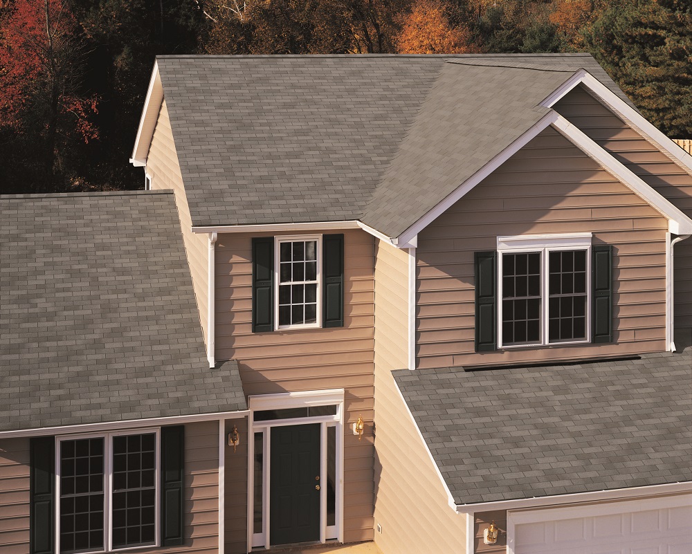 TAMKO Roof Shingles