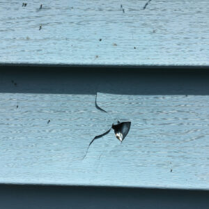 cracked residential siding from a storm