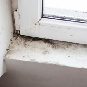 Damaged window from moisture inside a home